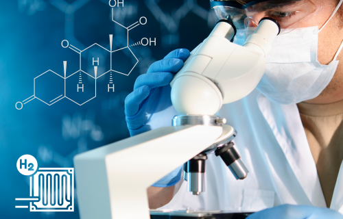 Scientific Work: Hydrogen and Fuel Cell Education at California State University, Los Angeles